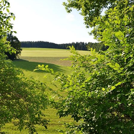 Das Ferienhaus Mondschein Im Land Der Tausend Berge - Erholung Pur In Idyllischer Alleinlage 伦讷施塔特 外观 照片