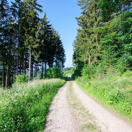 Das Ferienhaus Mondschein Im Land Der Tausend Berge - Erholung Pur In Idyllischer Alleinlage 伦讷施塔特 外观 照片